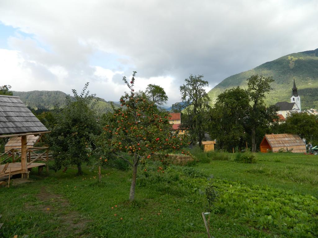 Willa Glamping Organic Farm Slibar Tržič Zewnętrze zdjęcie