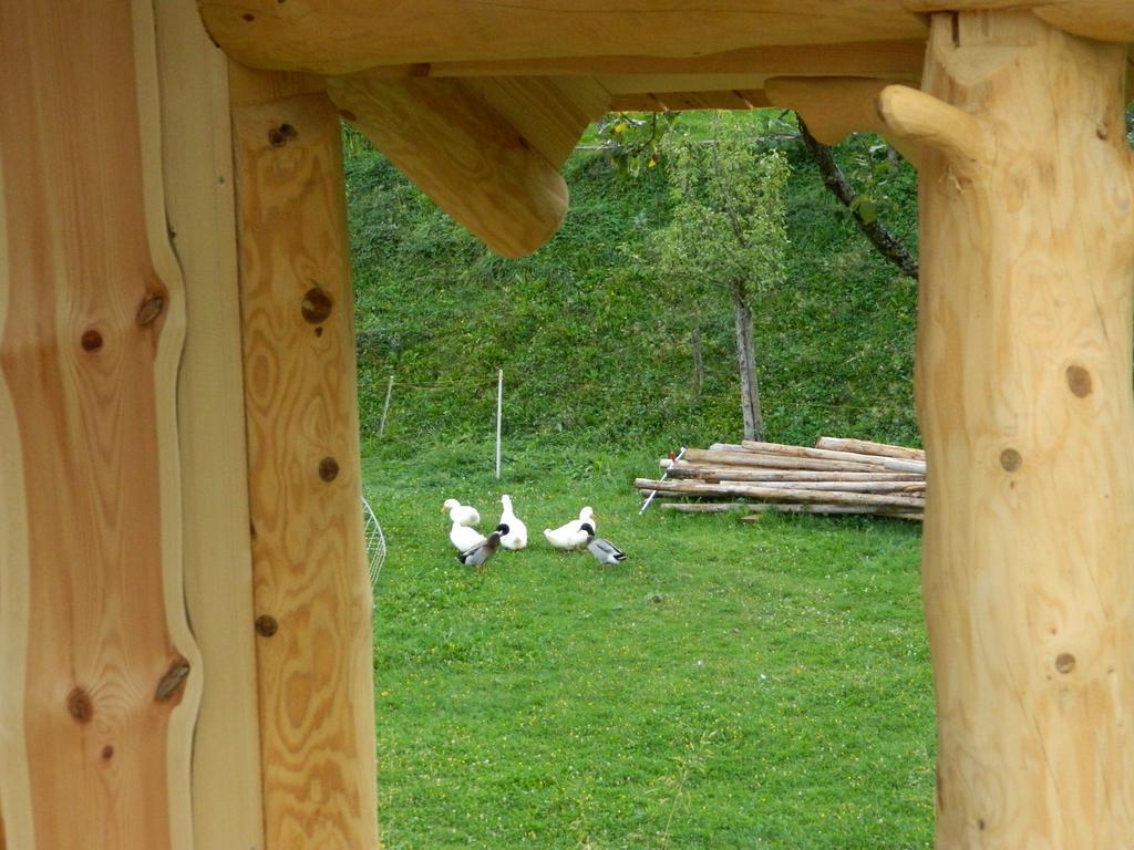 Willa Glamping Organic Farm Slibar Tržič Zewnętrze zdjęcie