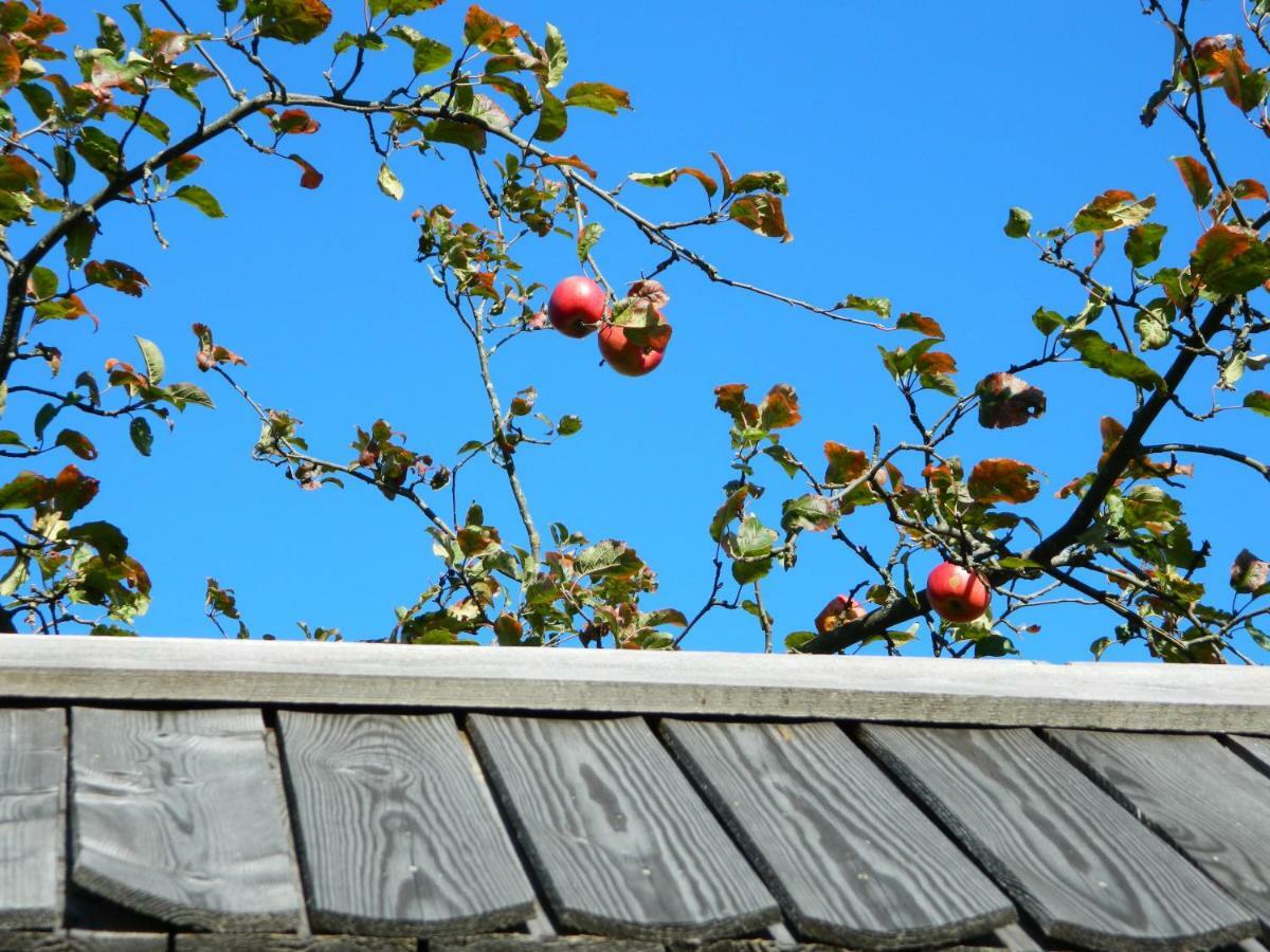 Willa Glamping Organic Farm Slibar Tržič Zewnętrze zdjęcie