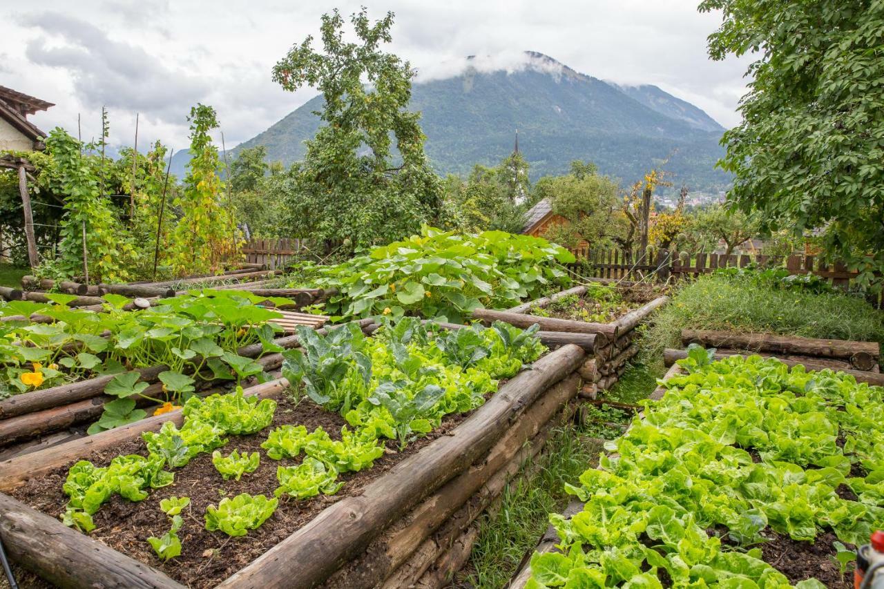 Willa Glamping Organic Farm Slibar Tržič Zewnętrze zdjęcie