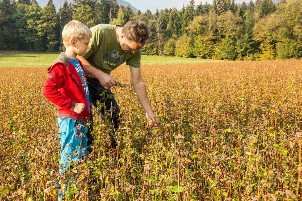 Willa Glamping Organic Farm Slibar Tržič Zewnętrze zdjęcie